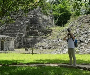Muyil: Guided Bird Watching Tour + Breakfast + Transfer
